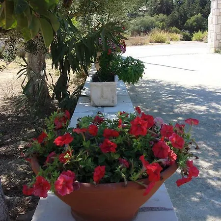 Kapnisi Vasilikí